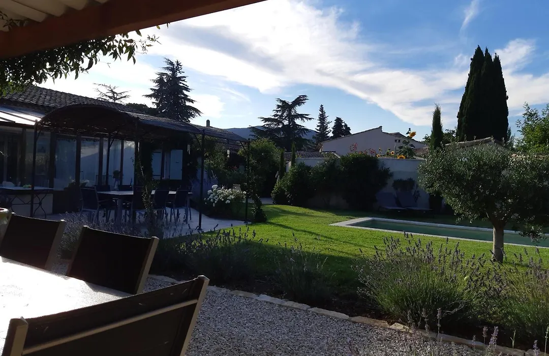 Le Chat Sur Le Toit-1