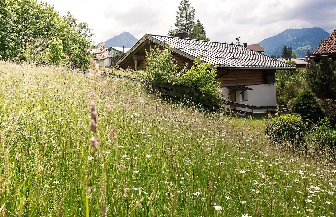 Alpenhaus Oberstdorf - Bergbahn unlimited inklusive-1