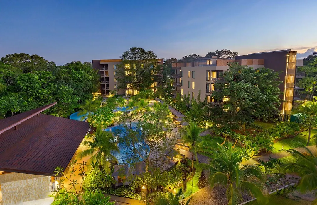Botanika Osa Peninsula, Curio Collection By Hilton-1