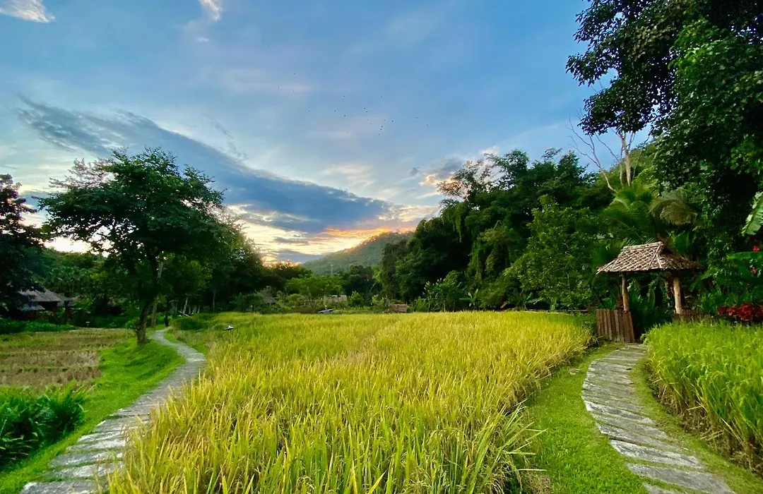 Fern Resort Mae Hong Son-1