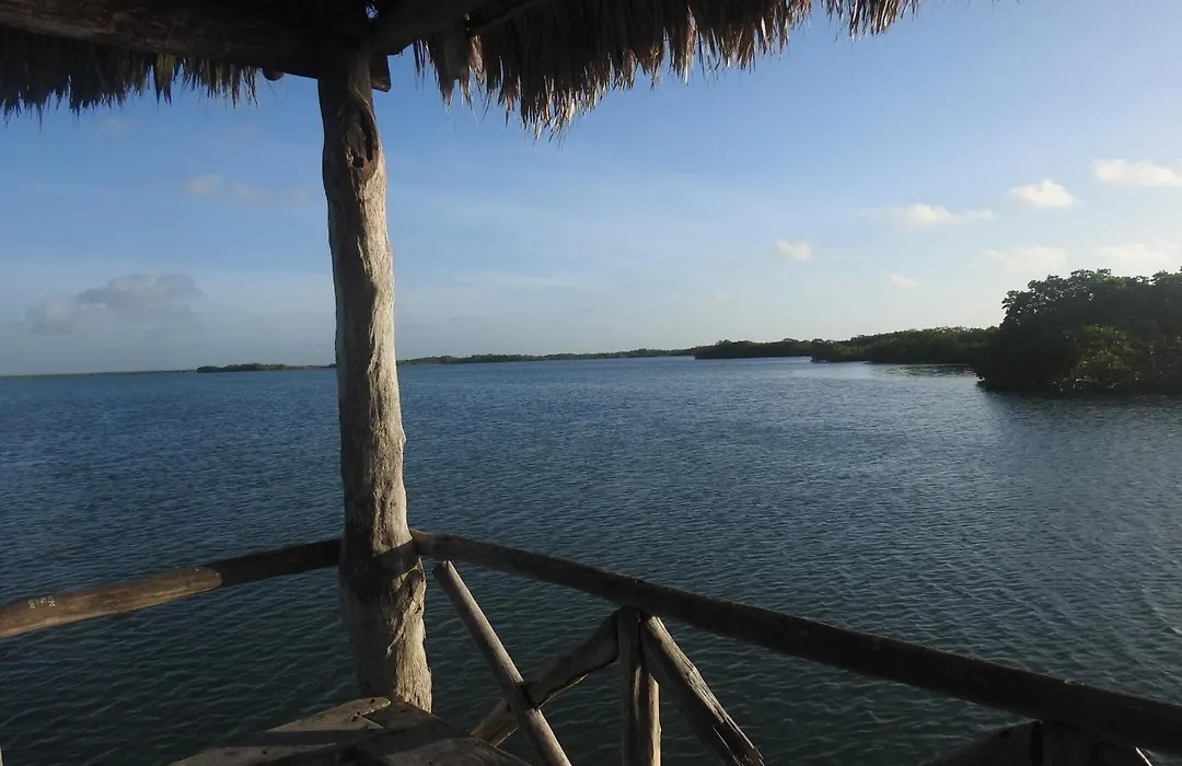 Las Palapas De Punta Allen-1