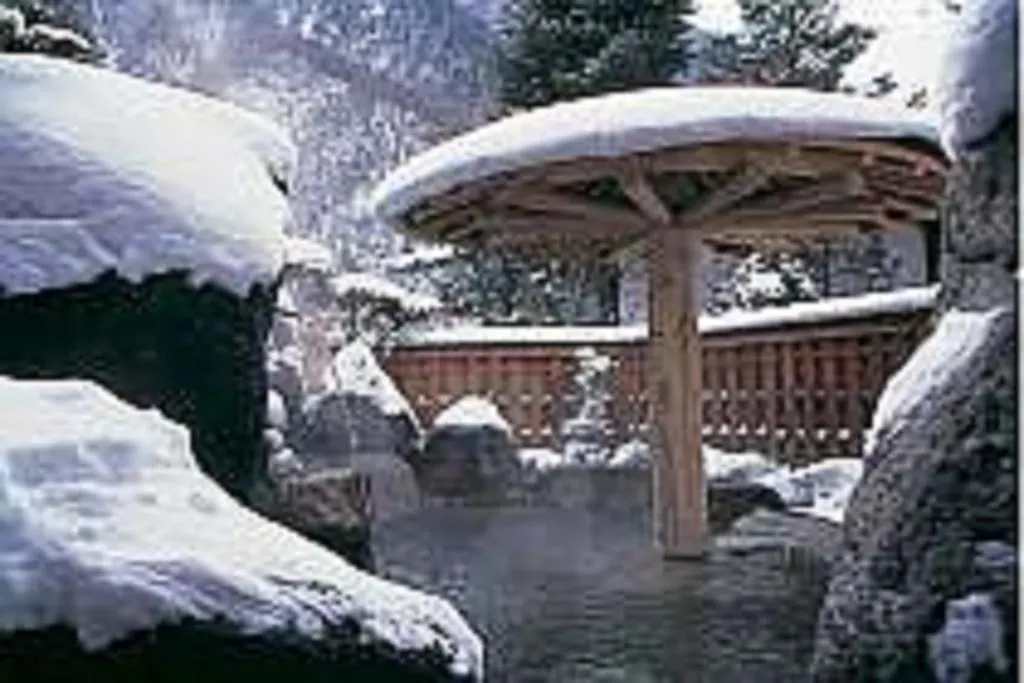 Nakadaya-1