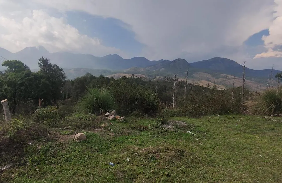 El Lora Resldency-1