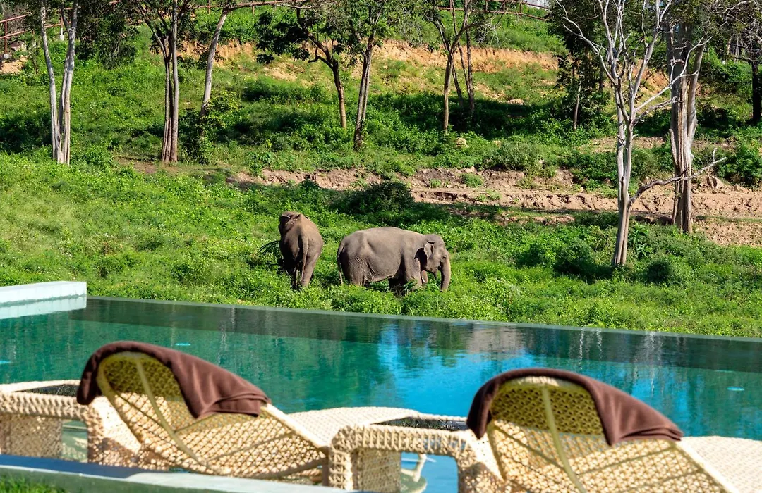 Wild Cottages Elephant Sanctuary Resort-1