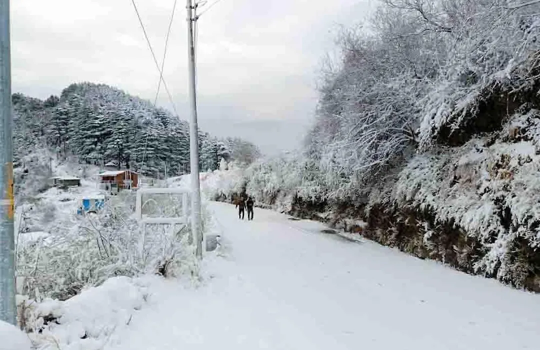 La Riqueza Kanatal - Himalayan View Rooms - Parking On Site - Close To Surkanda Devi Temple & Jungle Safari-1