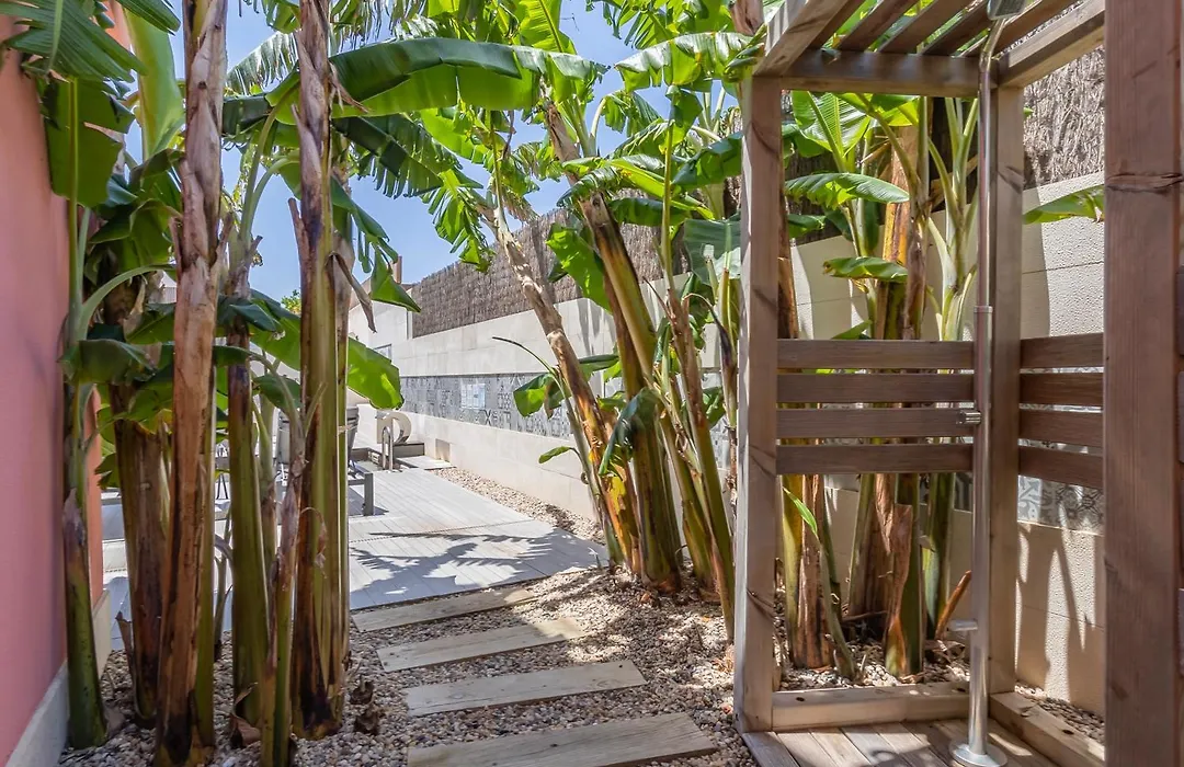 Charming Residence & Guest House Dom Manuel I Adults Only-1