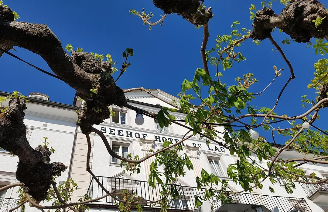 Seehof Hotel Du Lac-1
