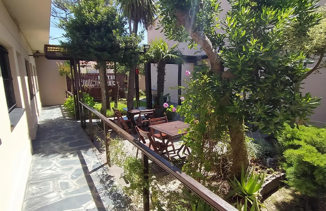 Hotel Vireo-1