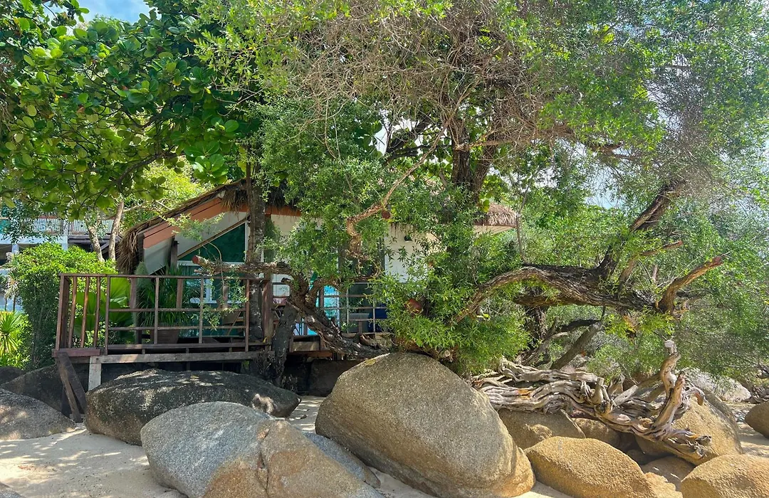 Siam Cookies Cottage-1