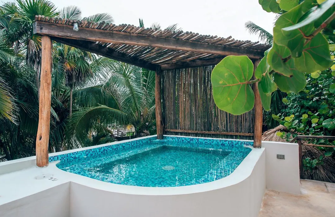 Orchid House Tulum Beach (Adults Only)-1
