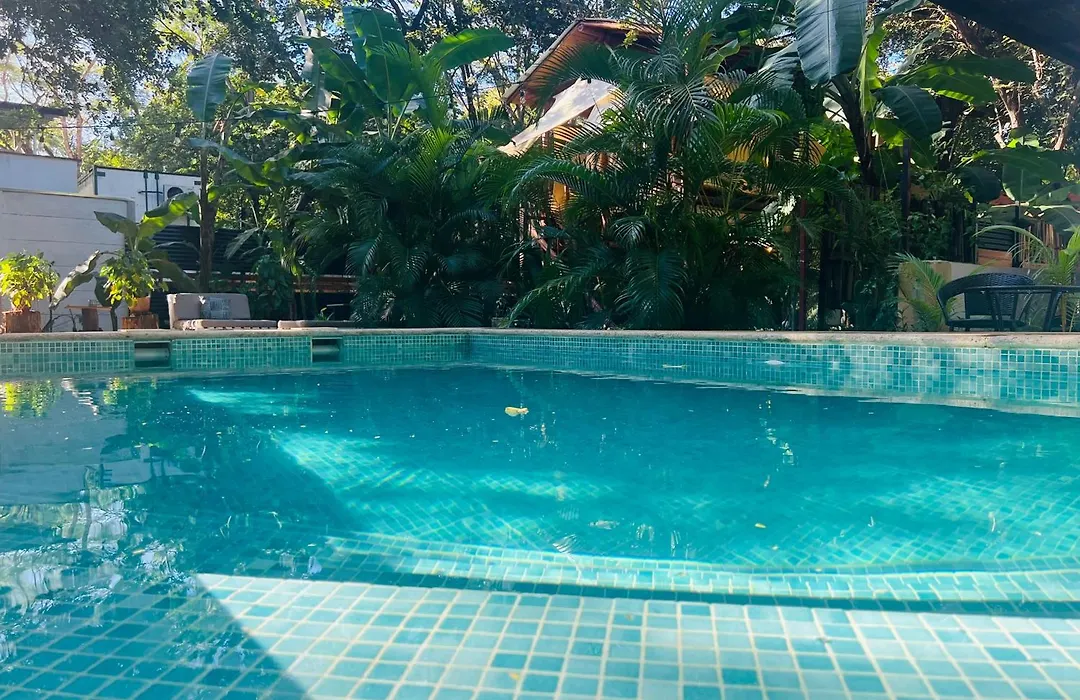 Calipso Ocean Lodge- Avellana Beach Hotel-1