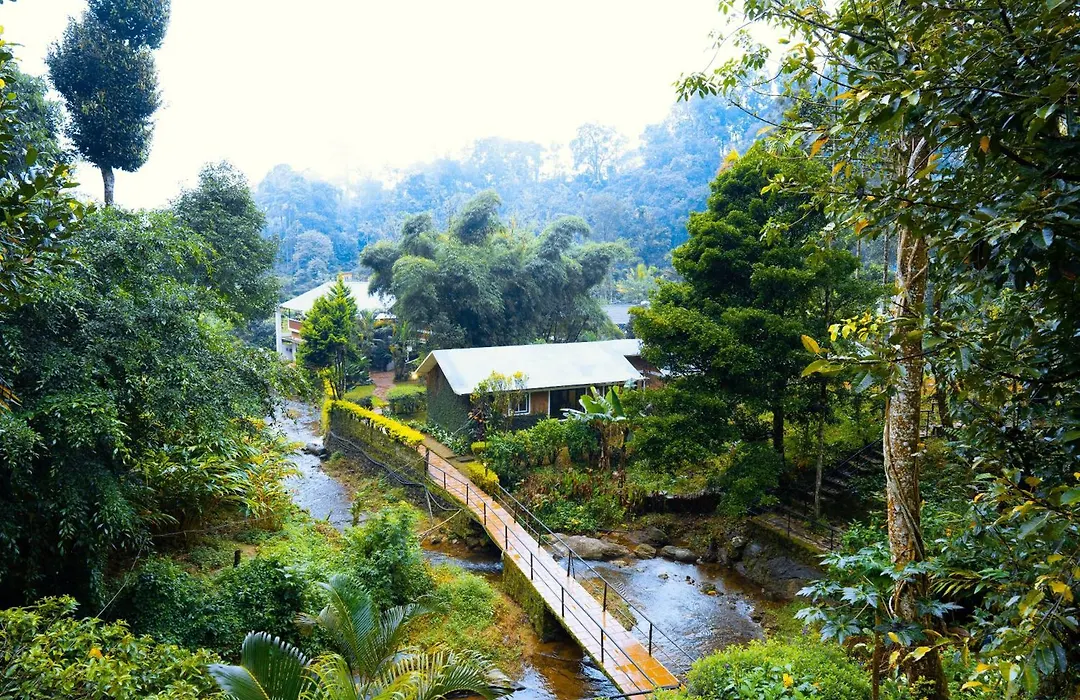 Goodland Falling Water Munnar-1