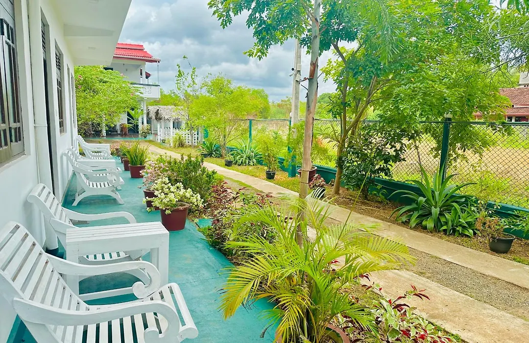 New Peacock Resort-1