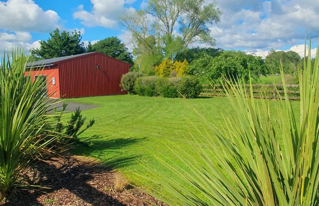 The Red Shed-1