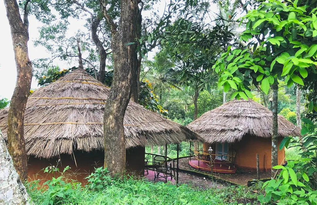 Punarjani Ayurvedic Resorts-1