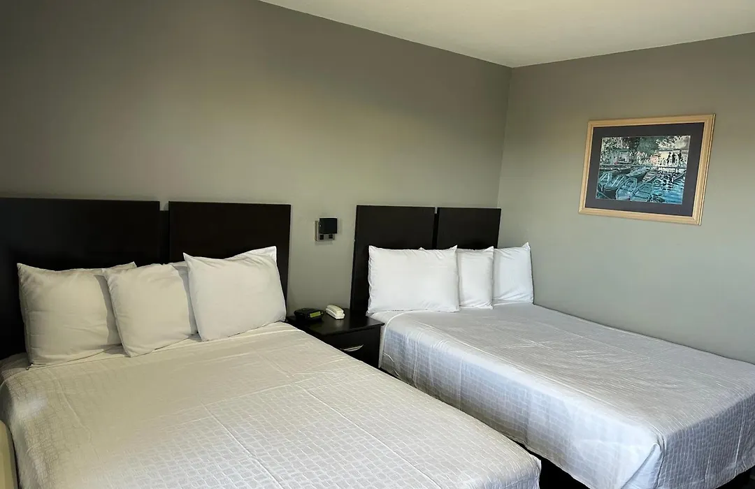Americas Best Value Inn And Suites Groves-1