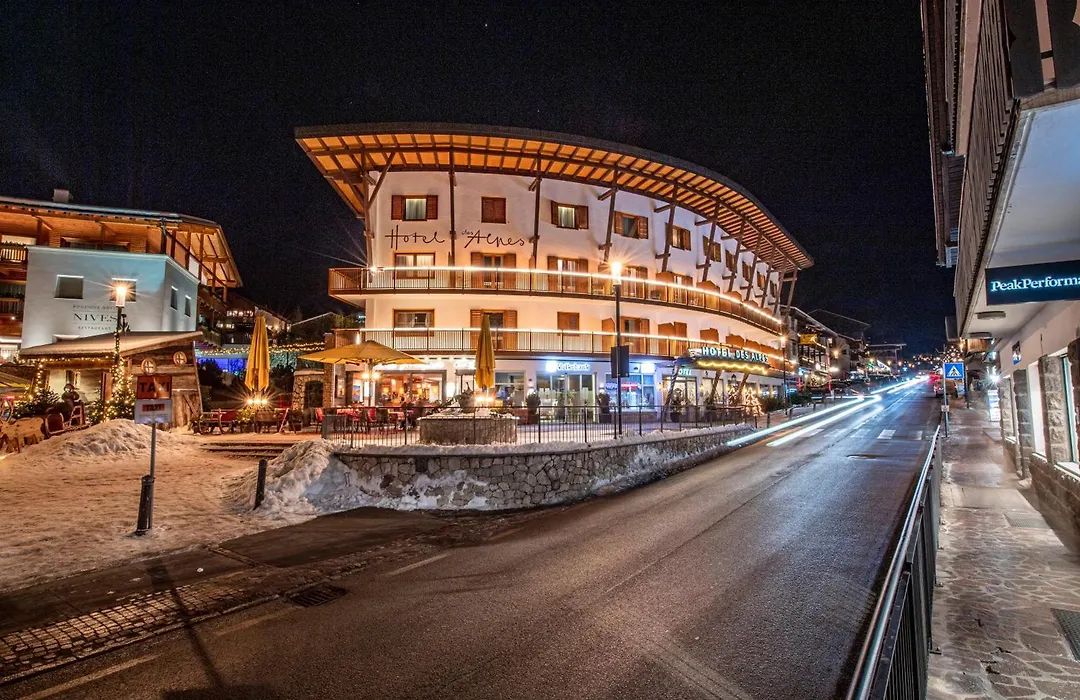 Hotel Des Alpes-1
