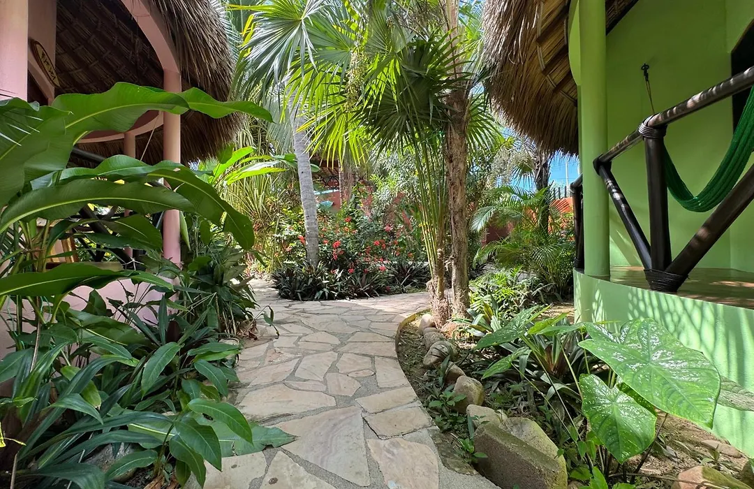 One Love Hostal Puerto Escondido-1