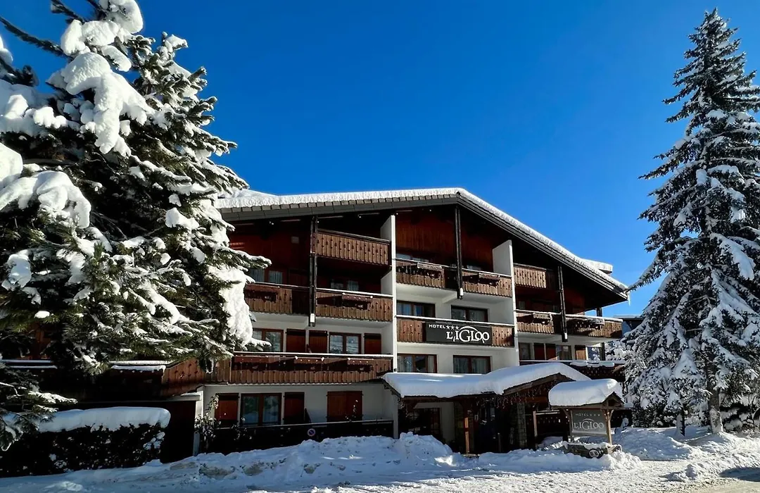Hotel Igloo-1