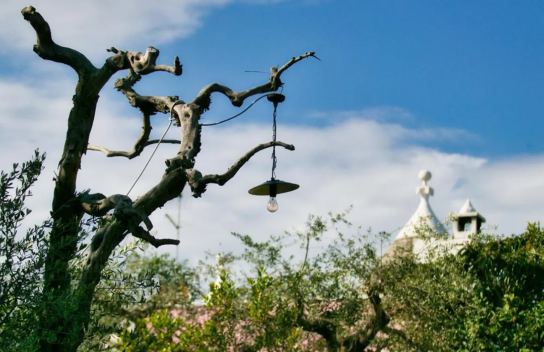 Masseria Trullo Sovrano Exclusive B&B-1