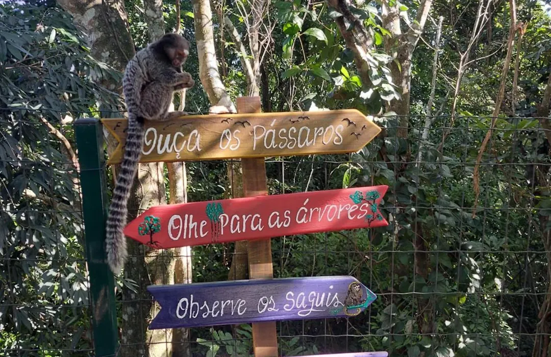 Chalé com hidromassagem-1