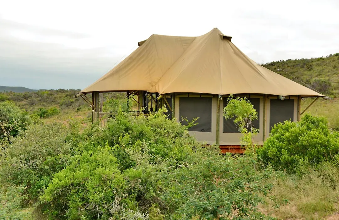 Garden Route Safari Camp-1