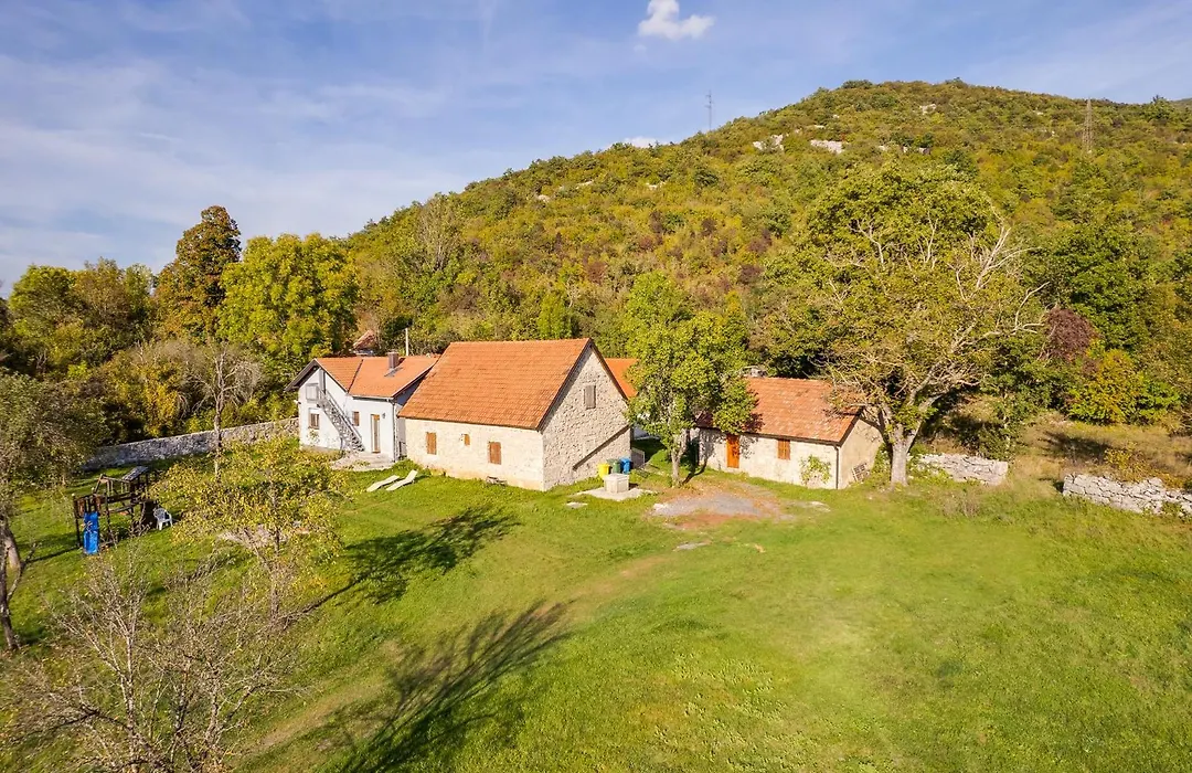 Sokol - Secret Forest House-1