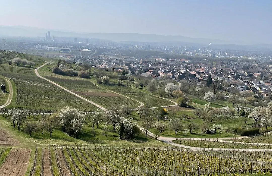 Landgasthof Rebstock Weil am Rhein / Basel-1