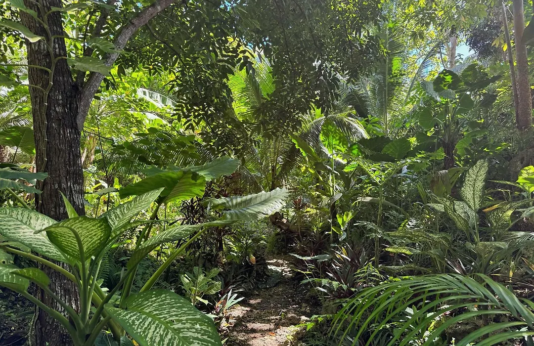 Jungle Kingdomes Guest House-1