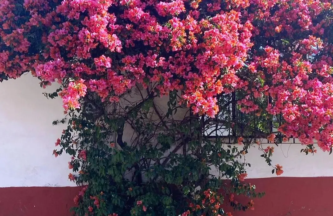 Hotel Posada Camelinas-1