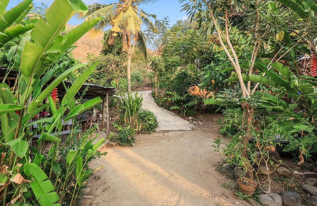 Palulu Garden Homestay-1