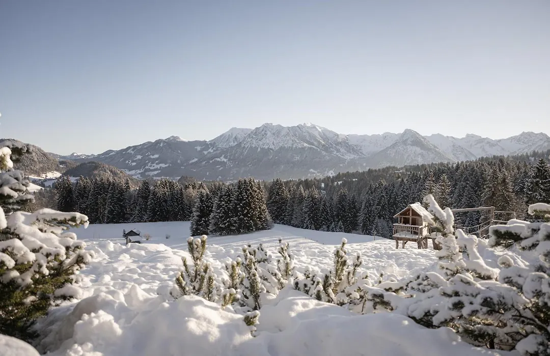 Alpe Dornach-1