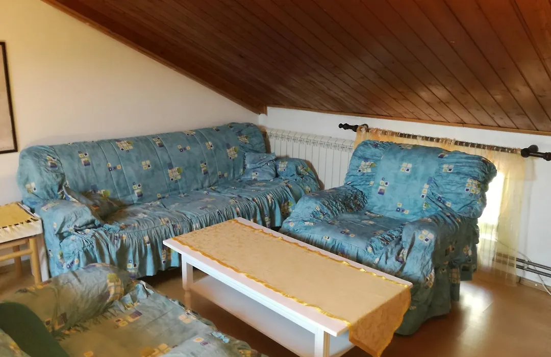 Guest House Vila Bak-1