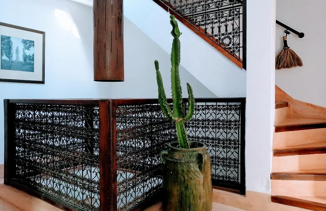 Riad Dar Nouba-1