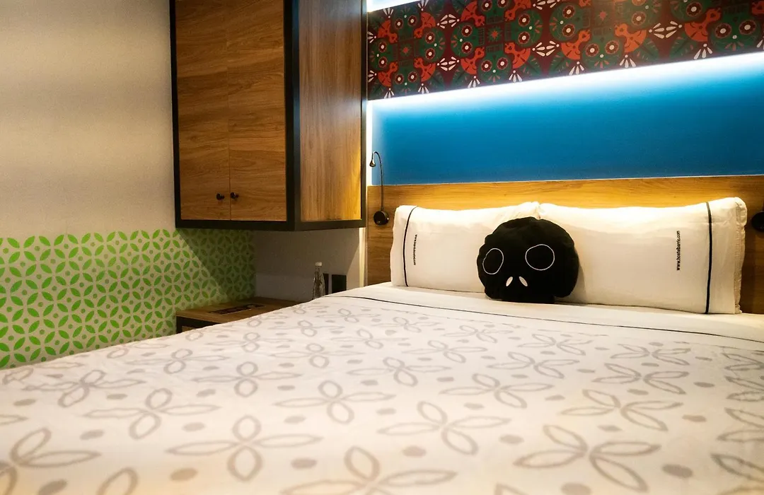 Barrio Downtown Mexico City Hostel-1
