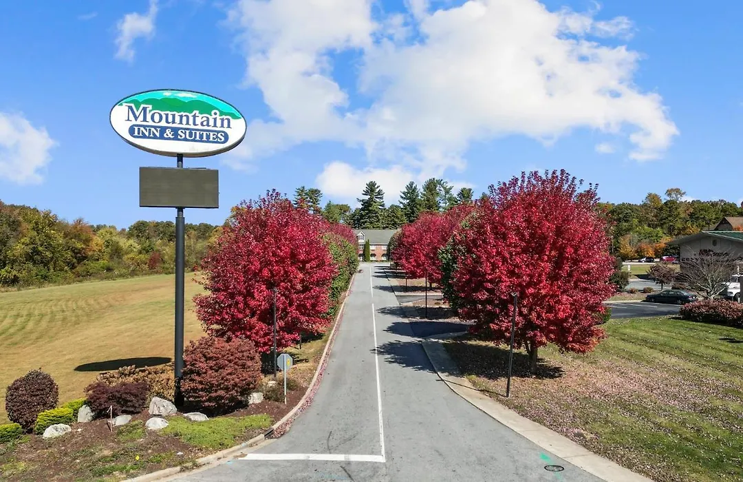 Mountain Inn & Suites Flat Rock-1