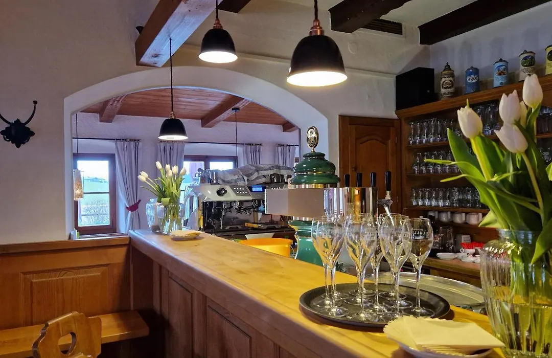 Hotel Landgasthof Alter Wirt-1