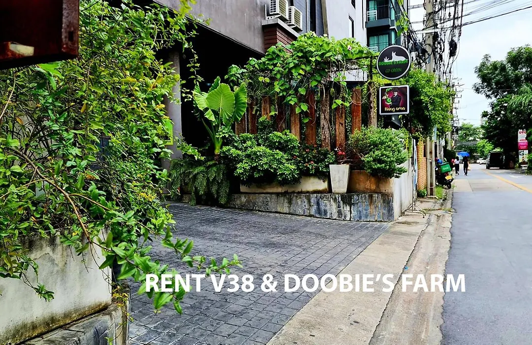 Rent V38 #420 Friendly Thailand-1