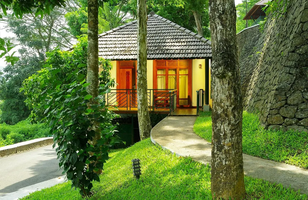 Forest Canopy Thekkady-1