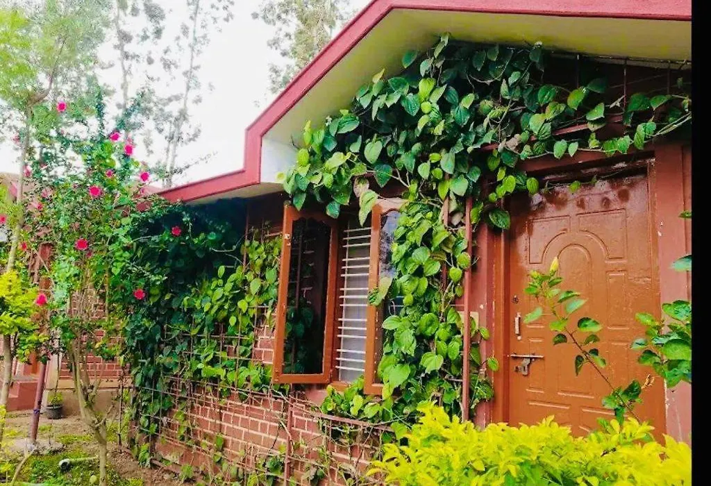 Coorg Nest Cottages By Dreamy Vacations-1