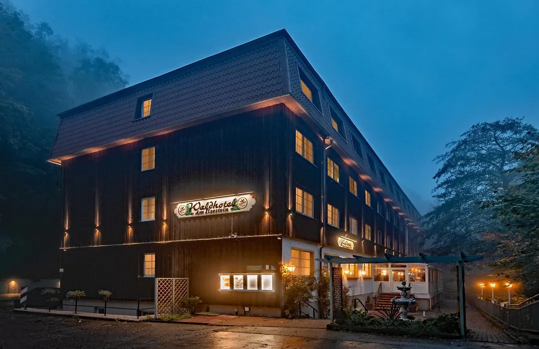 Waldhotel Harz Ilsenburg-1