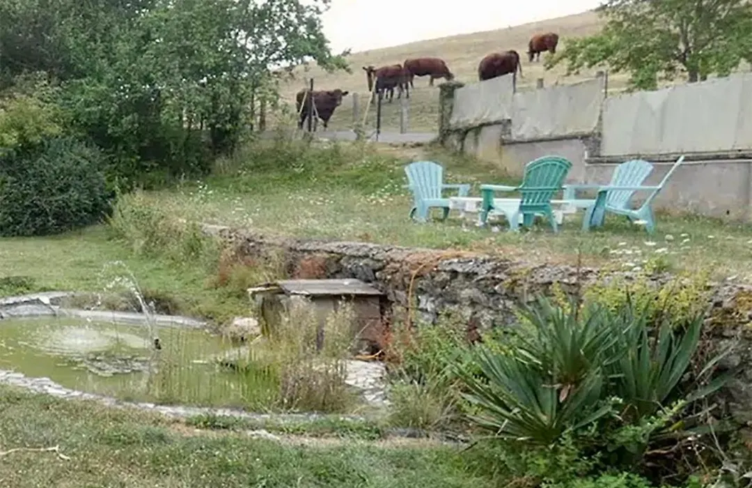 Le Champ Des Sources-1