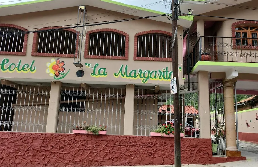 Hotel La Margarita-1