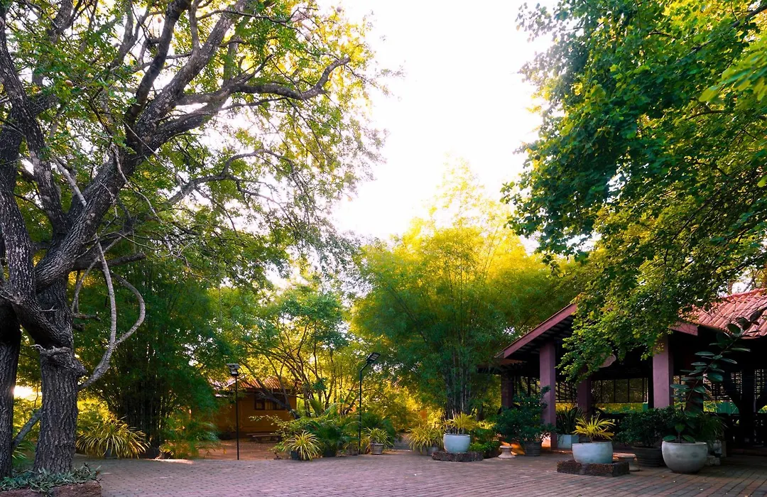 Safari Lodge Yala-1