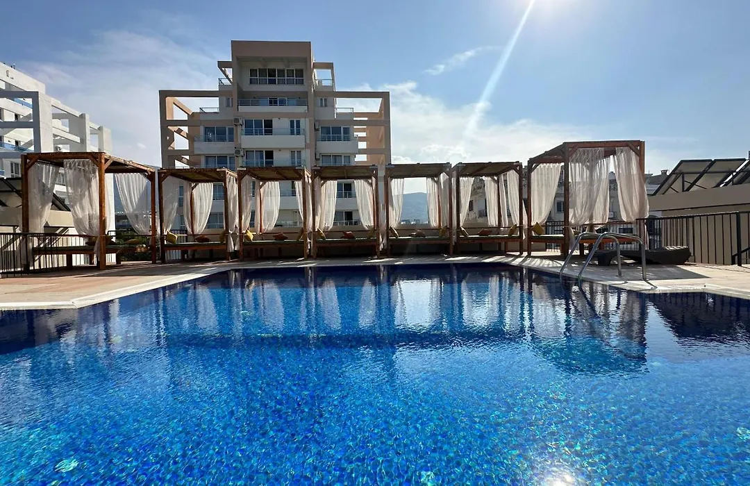 Olivia Palm Hotel-1