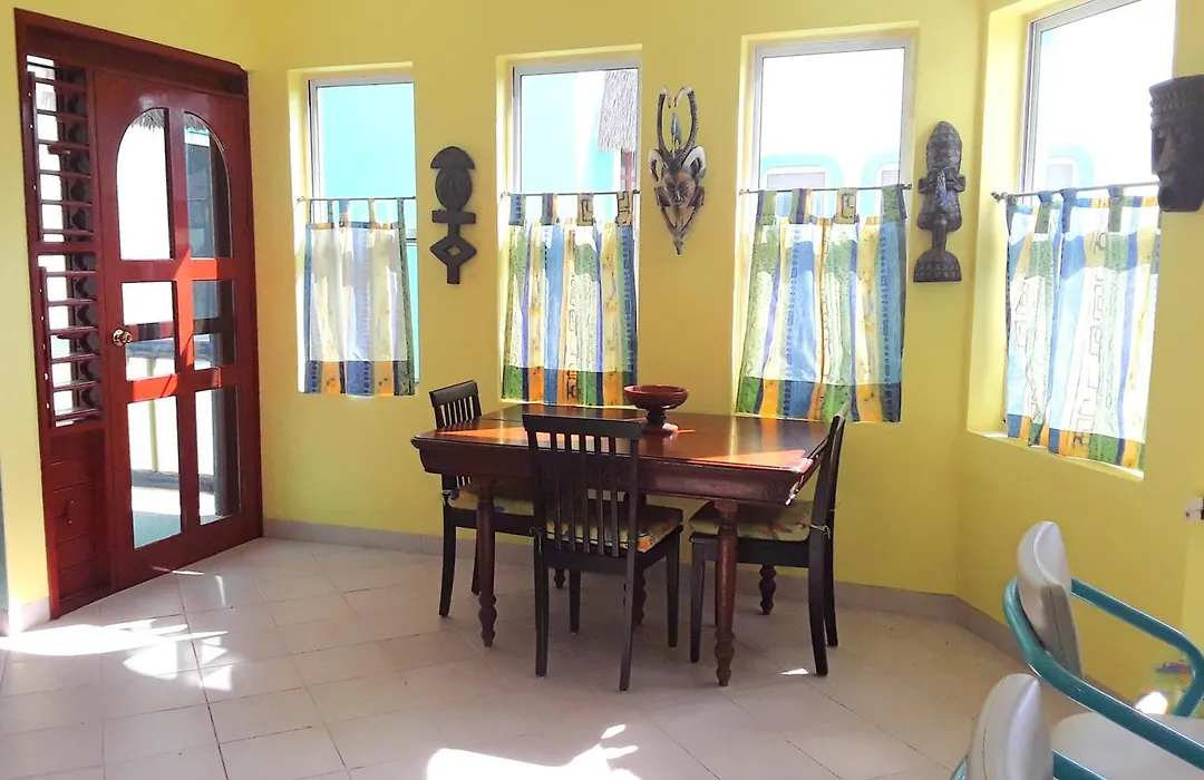 Casa Gatos-1
