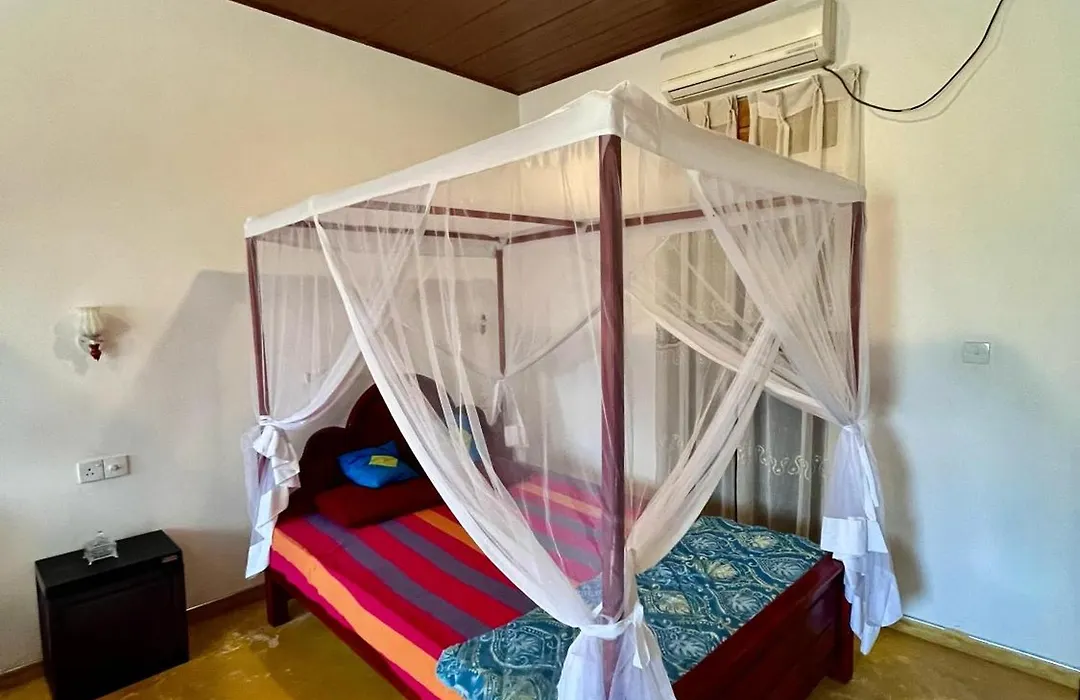 Coconut Tree Beach House-1