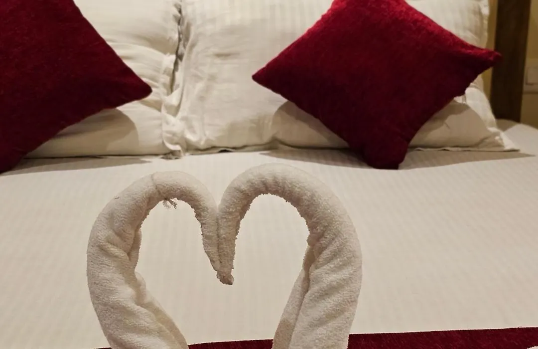 Dream Hotel-1