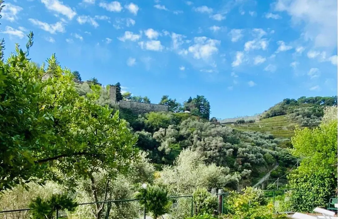 Albergo Degli Amici Moggia-1