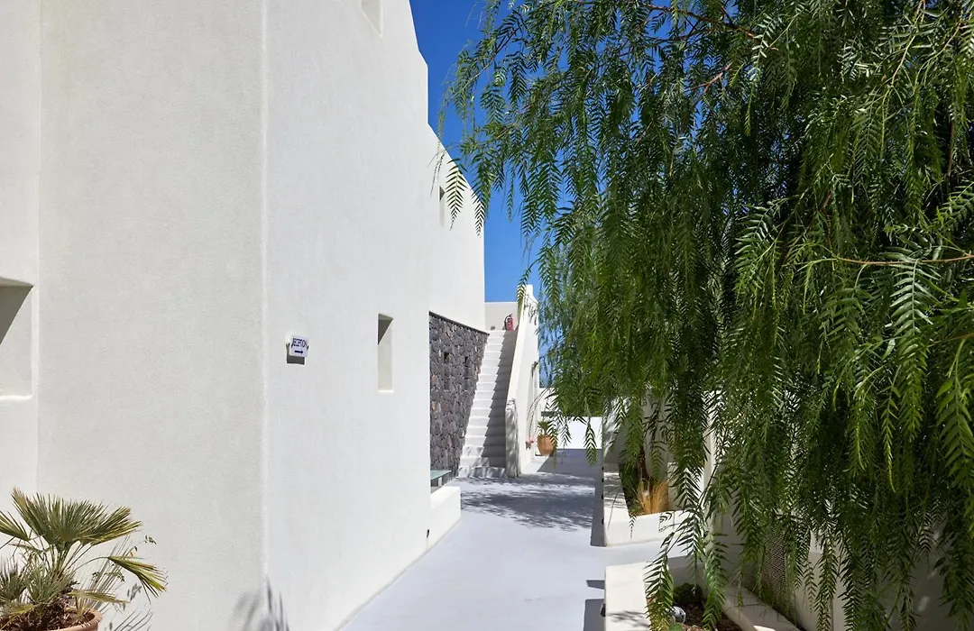 Adorno Oia-1